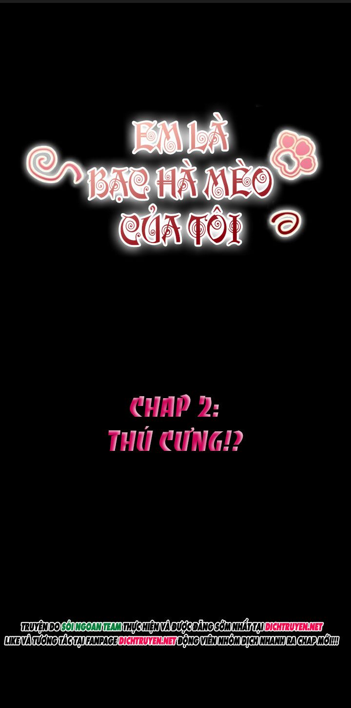 Em là bạc hà mèo của tôi: Chapter 2