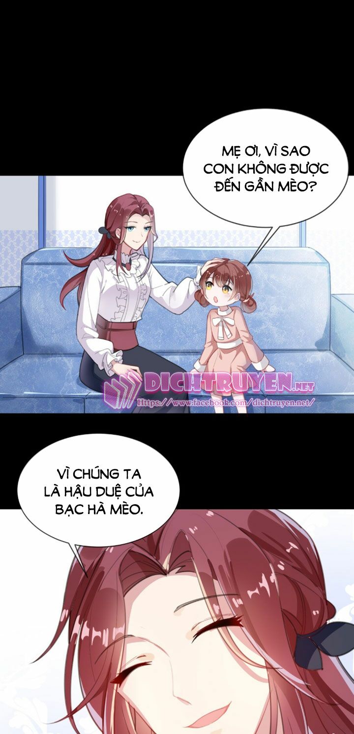 Em là bạc hà mèo của tôi: Chapter 2