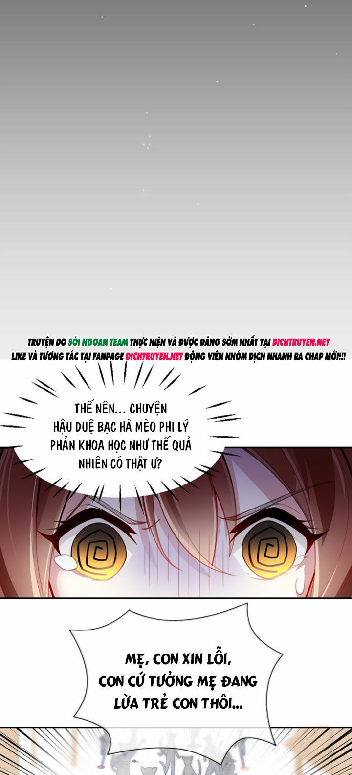 Em là bạc hà mèo của tôi: Chapter 2