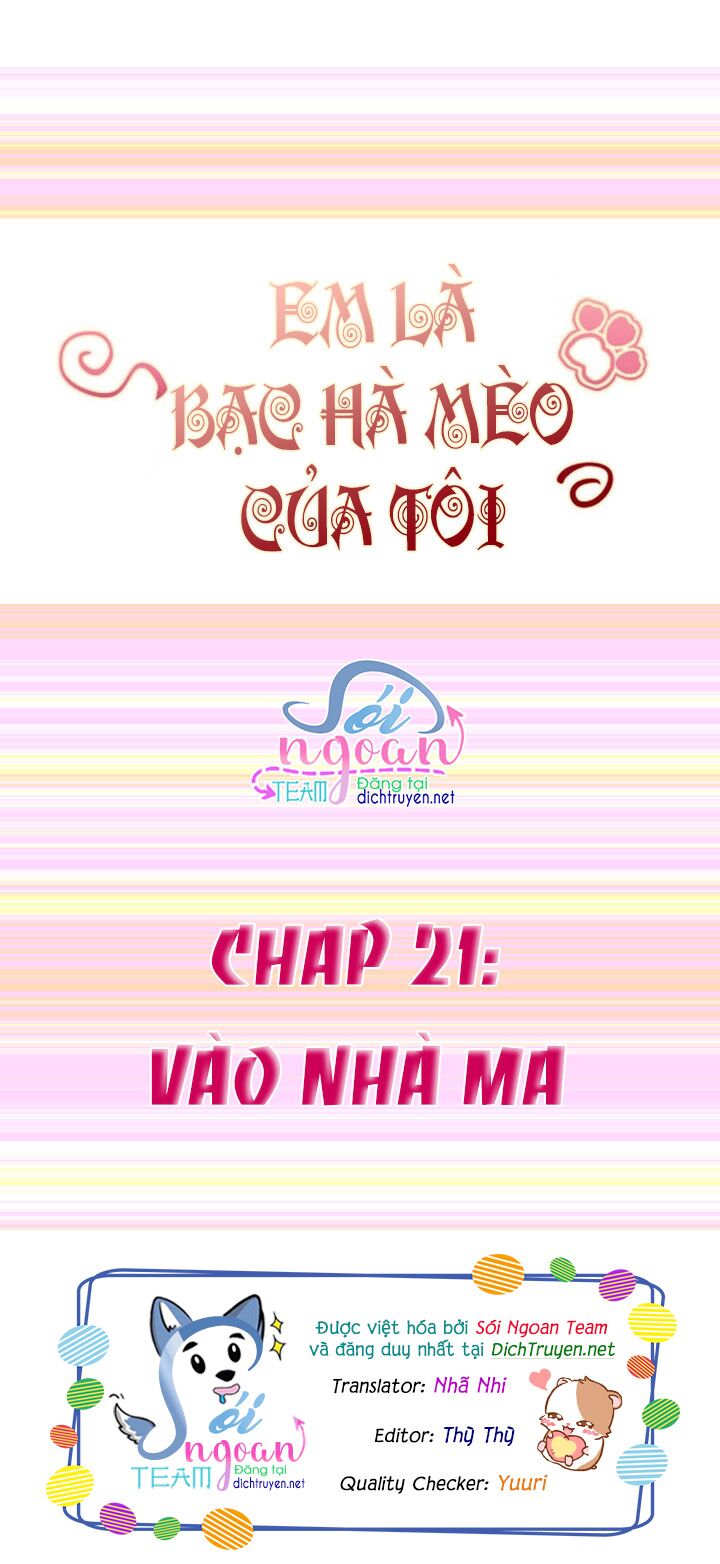 Em là bạc hà mèo của tôi: Chapter 21