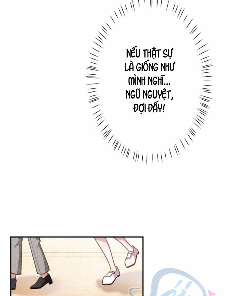 Em là bạc hà mèo của tôi: Chapter 21