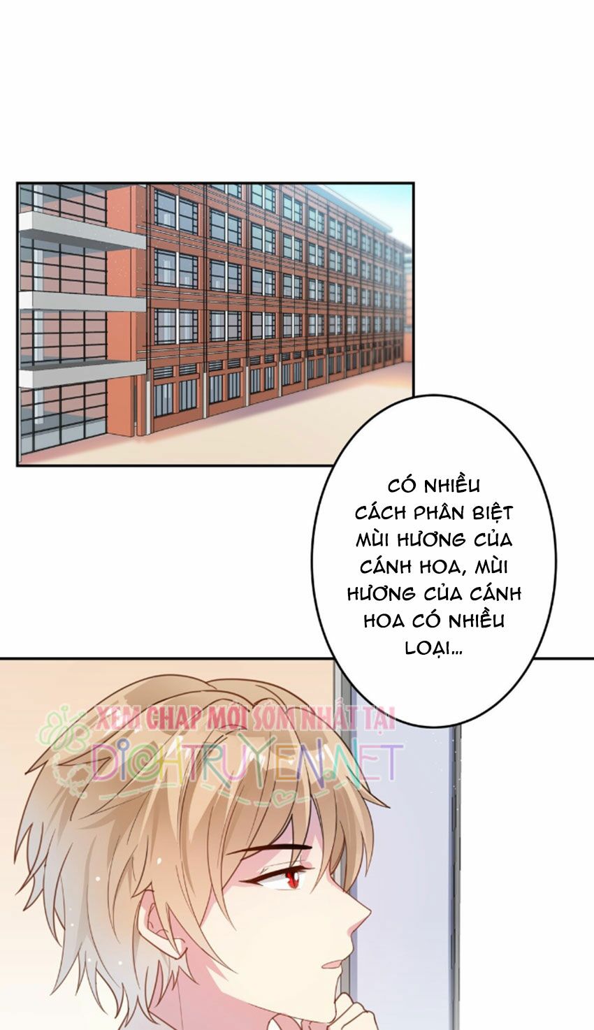 Em là bạc hà mèo của tôi: Chapter 21