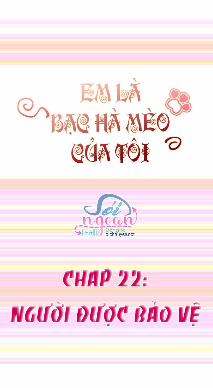 Em là bạc hà mèo của tôi: Chapter 22