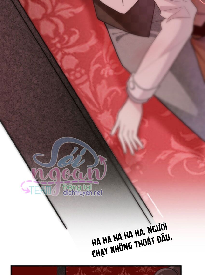 Em là bạc hà mèo của tôi: Chapter 22