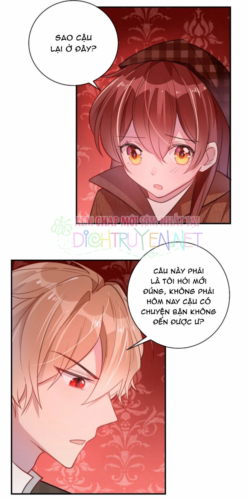 Em là bạc hà mèo của tôi: Chapter 22
