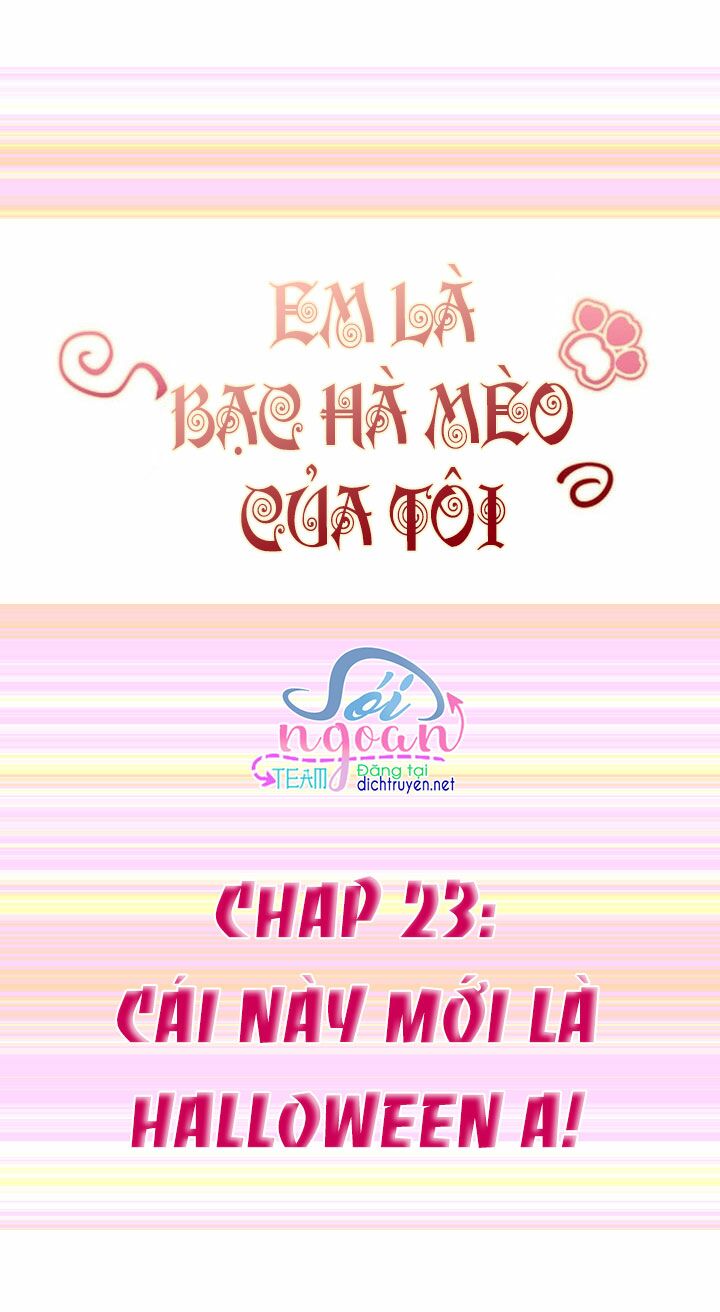 Em là bạc hà mèo của tôi: Chapter 23