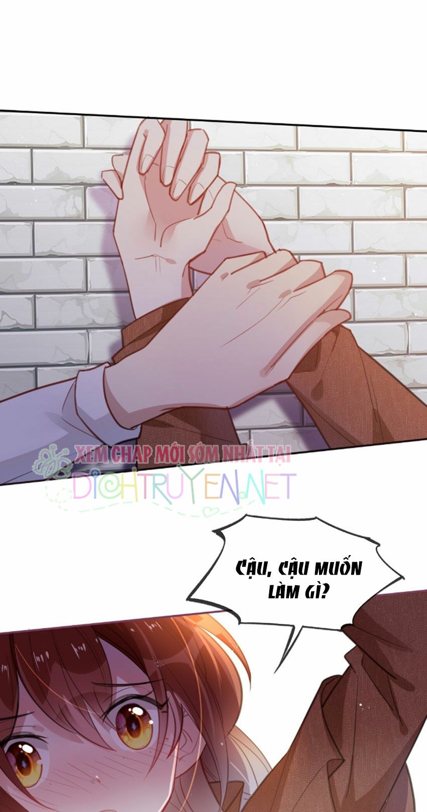 Em là bạc hà mèo của tôi: Chapter 23