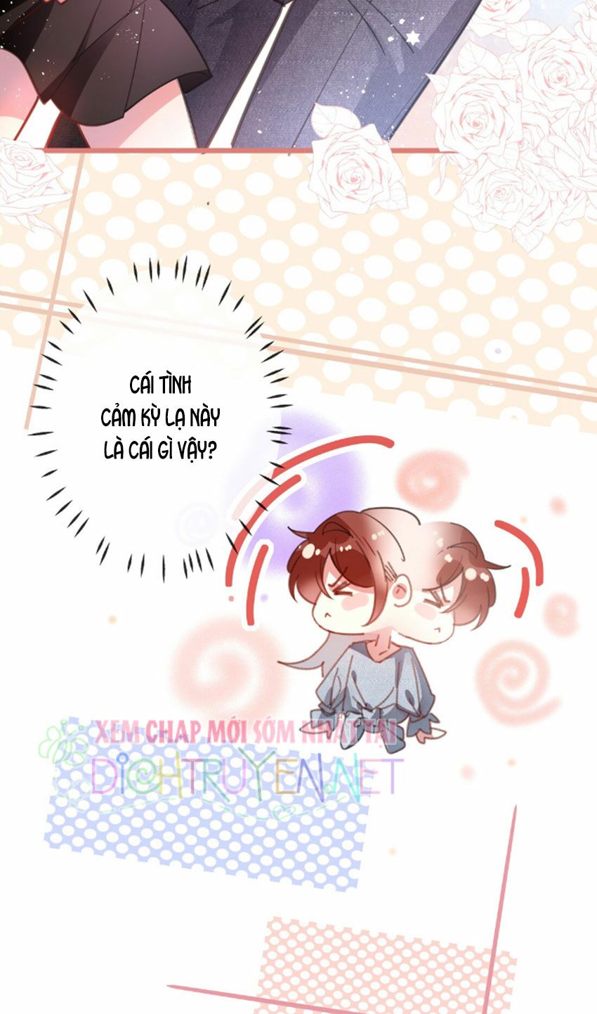 Em là bạc hà mèo của tôi: Chapter 24