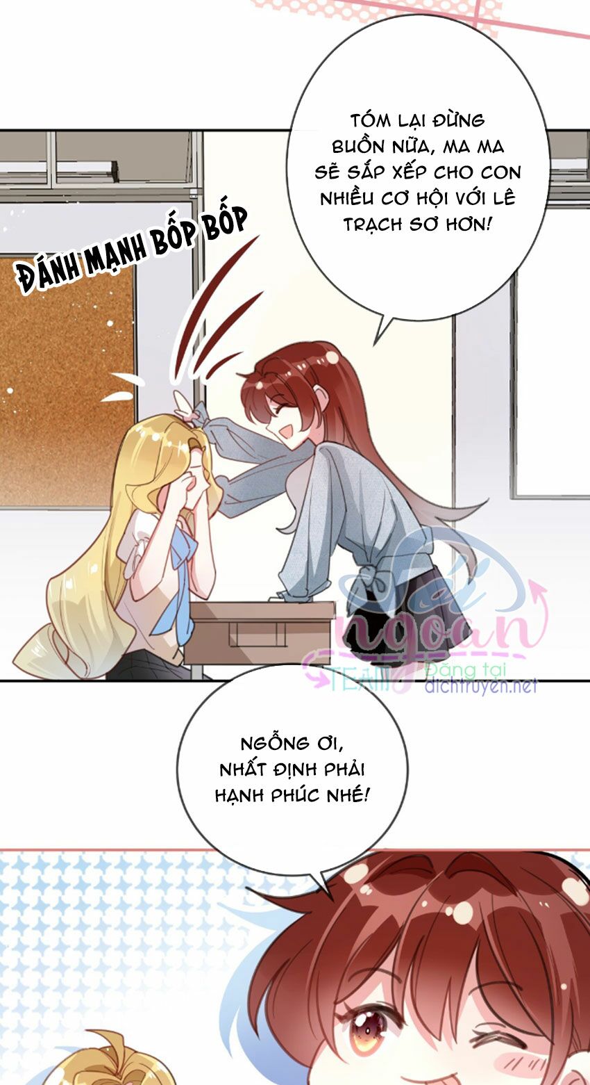 Em là bạc hà mèo của tôi: Chapter 24