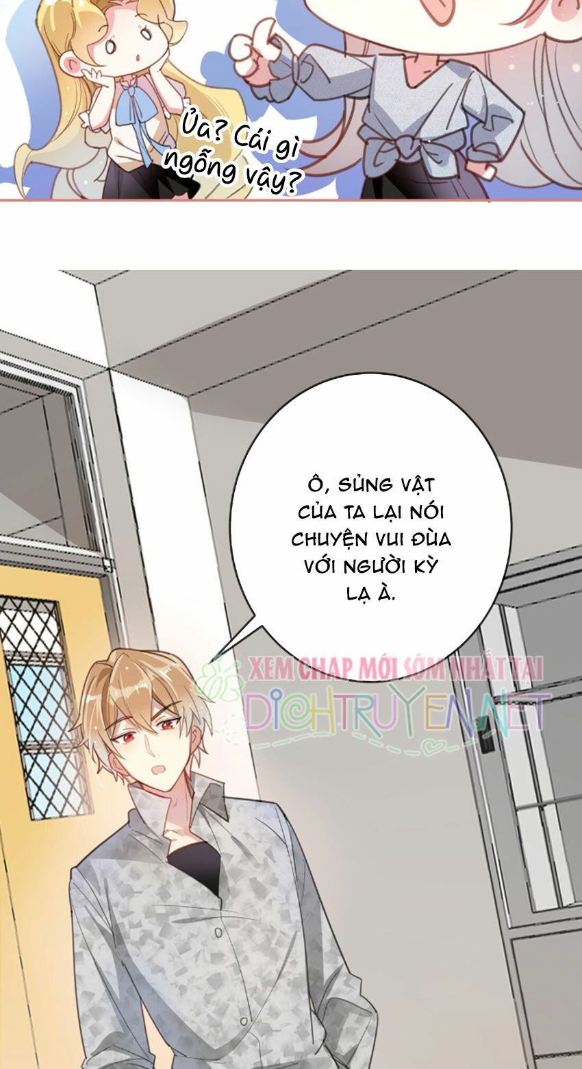 Em là bạc hà mèo của tôi: Chapter 24