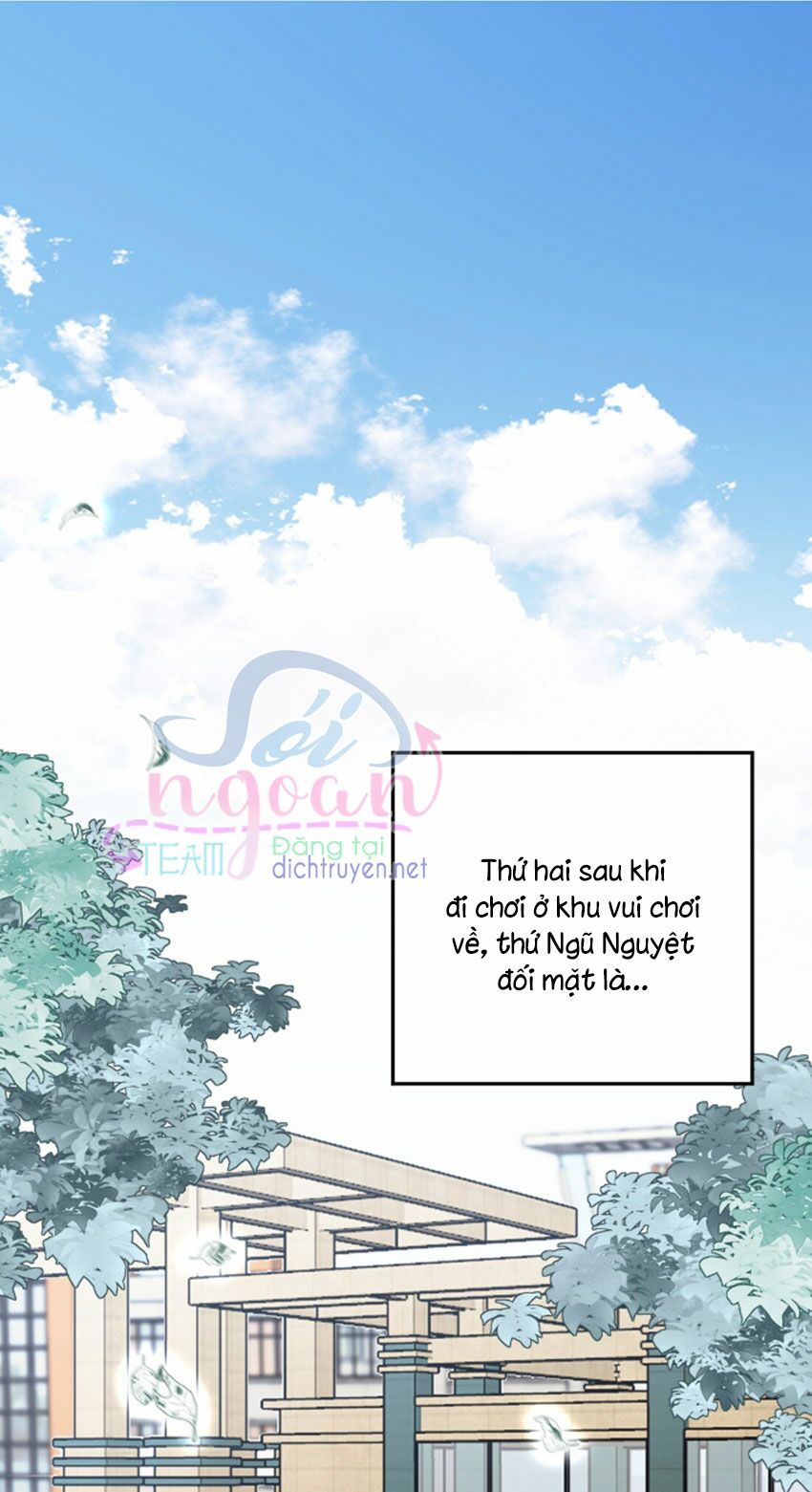 Em là bạc hà mèo của tôi: Chapter 24