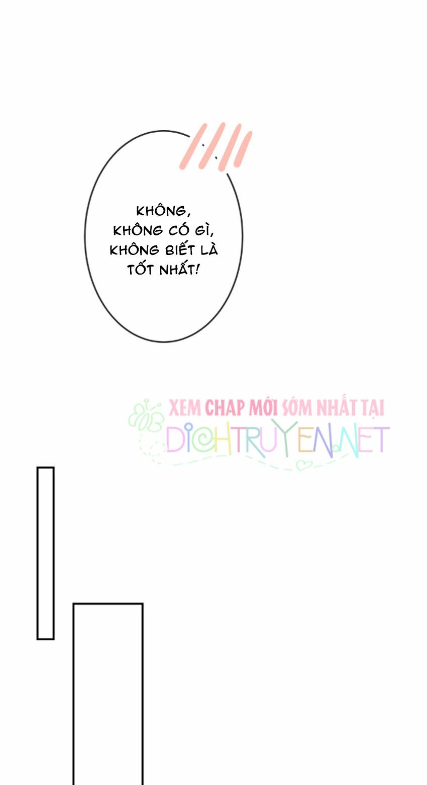 Em là bạc hà mèo của tôi: Chapter 24