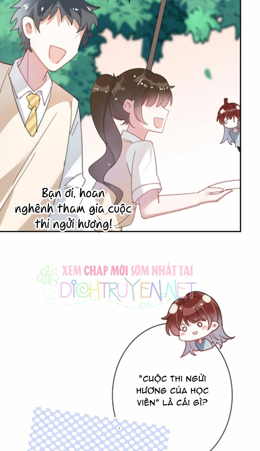 Em là bạc hà mèo của tôi: Chapter 24
