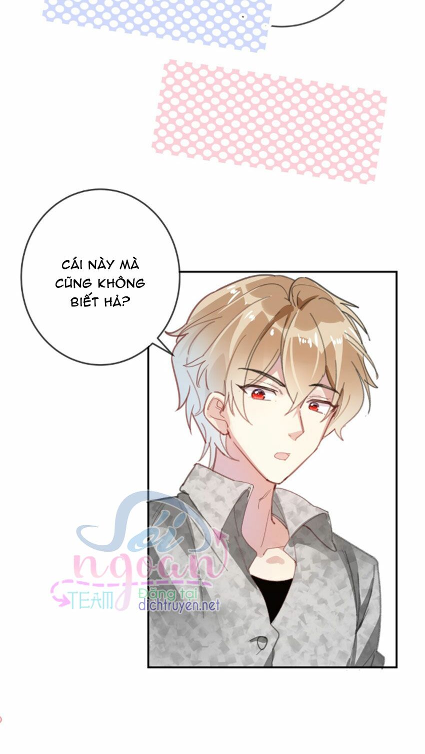 Em là bạc hà mèo của tôi: Chapter 24