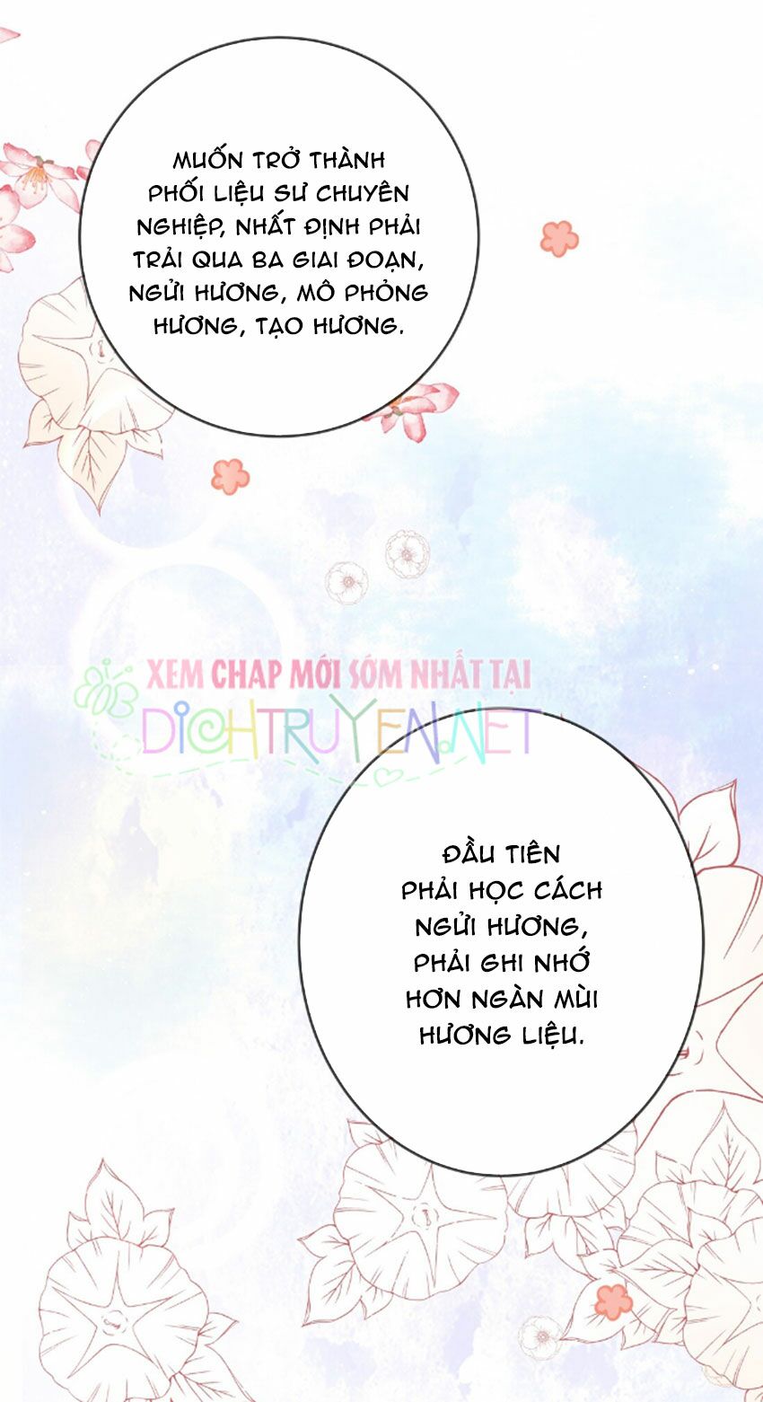 Em là bạc hà mèo của tôi: Chapter 24