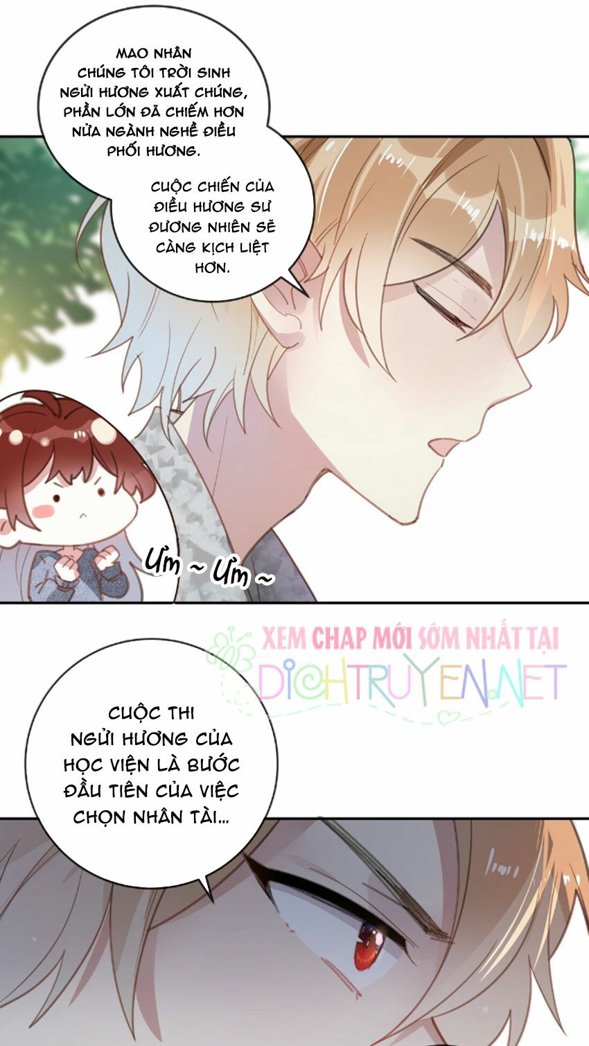 Em là bạc hà mèo của tôi: Chapter 24