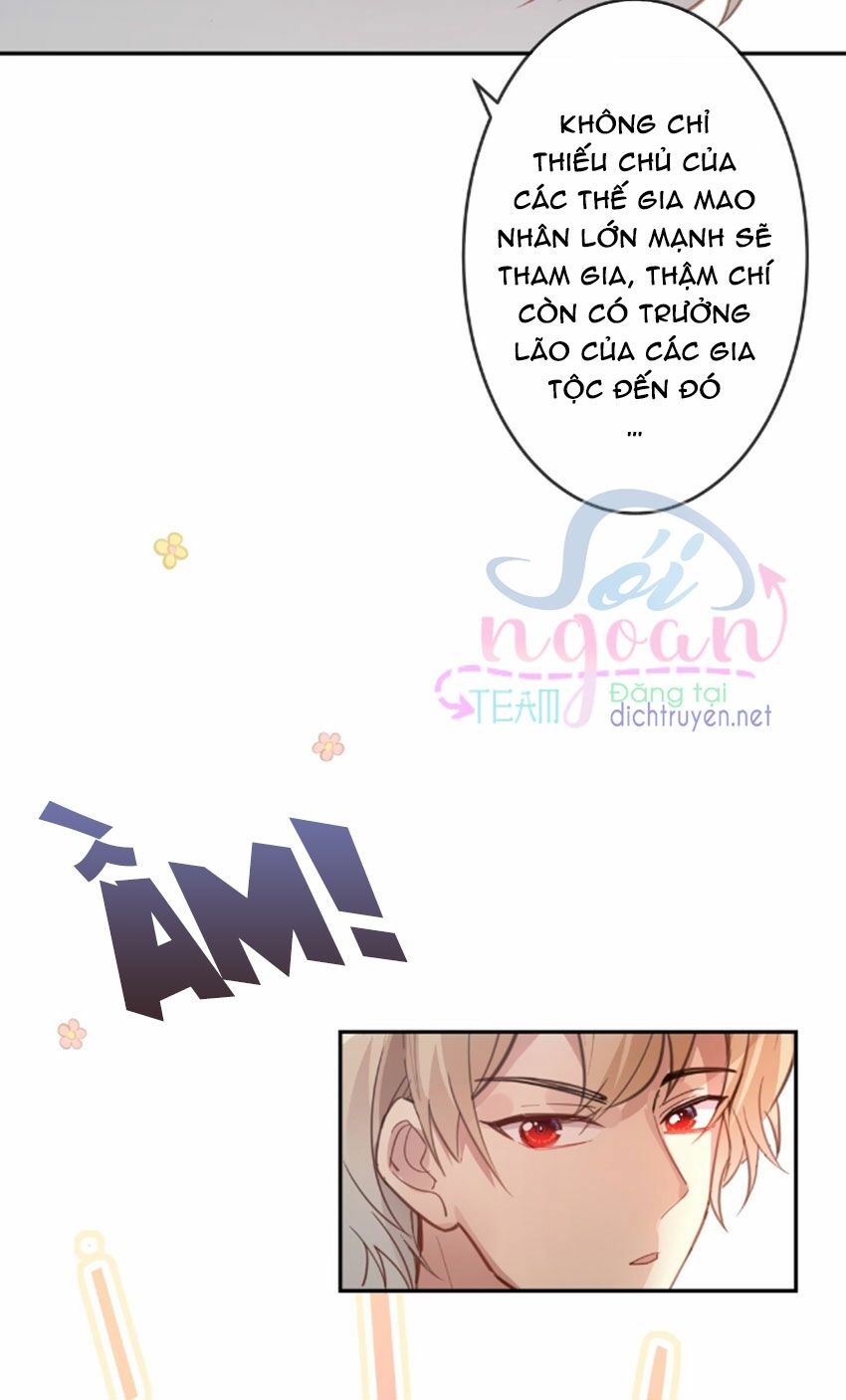 Em là bạc hà mèo của tôi: Chapter 24