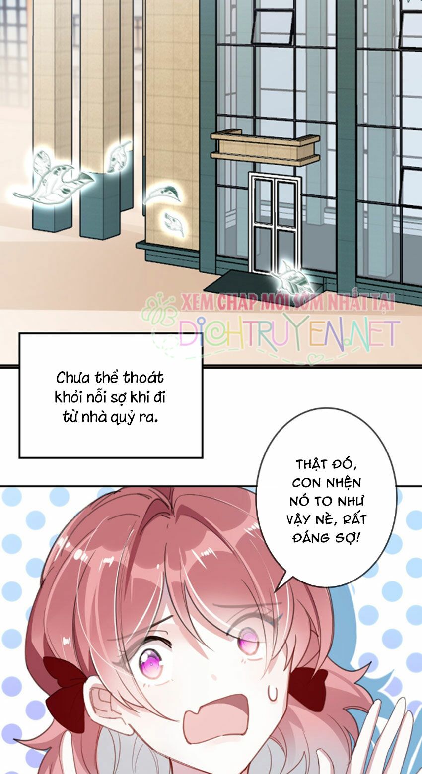 Em là bạc hà mèo của tôi: Chapter 24