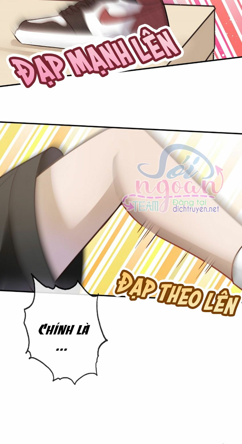 Em là bạc hà mèo của tôi: Chapter 25