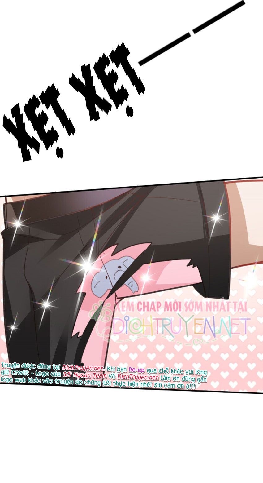 Em là bạc hà mèo của tôi: Chapter 25