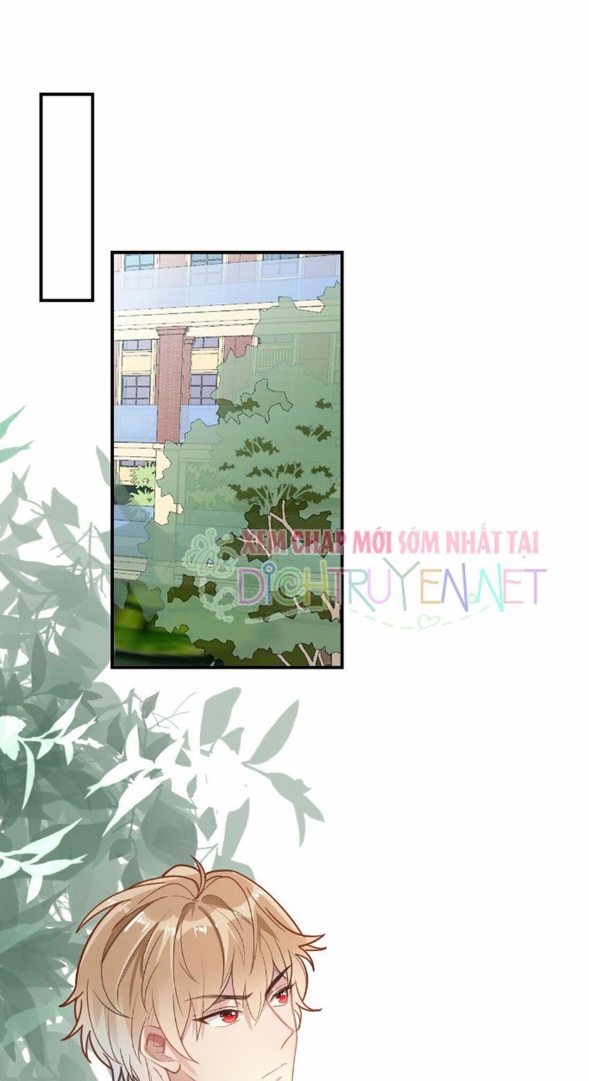 Em là bạc hà mèo của tôi: Chapter 25