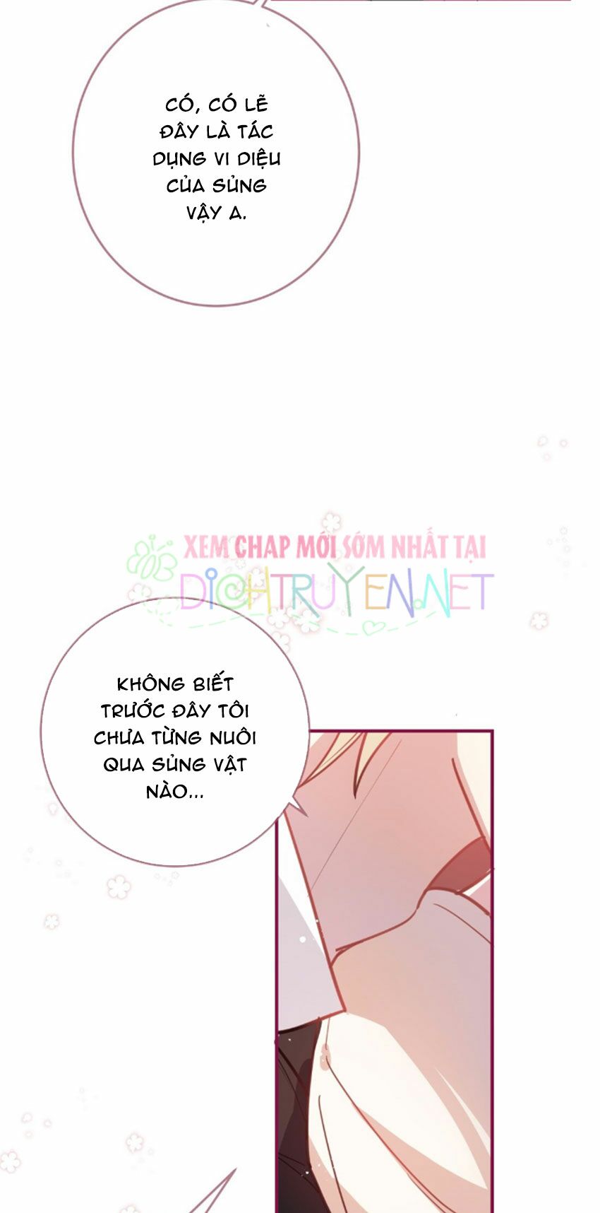 Em là bạc hà mèo của tôi: Chapter 26