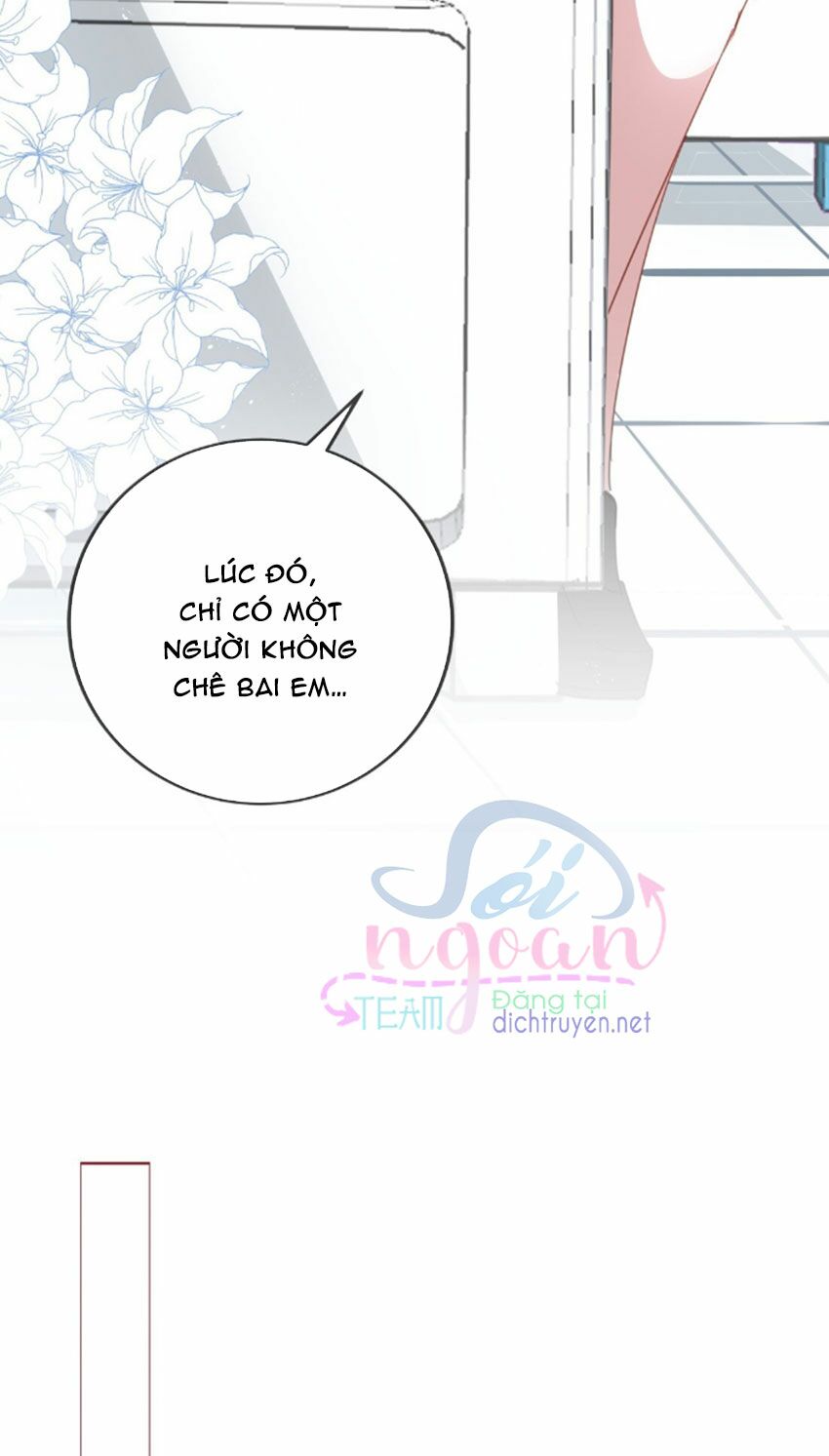 Em là bạc hà mèo của tôi: Chapter 26