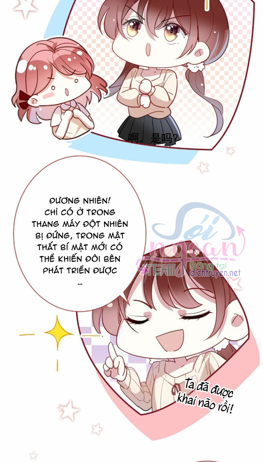Em là bạc hà mèo của tôi: Chapter 26