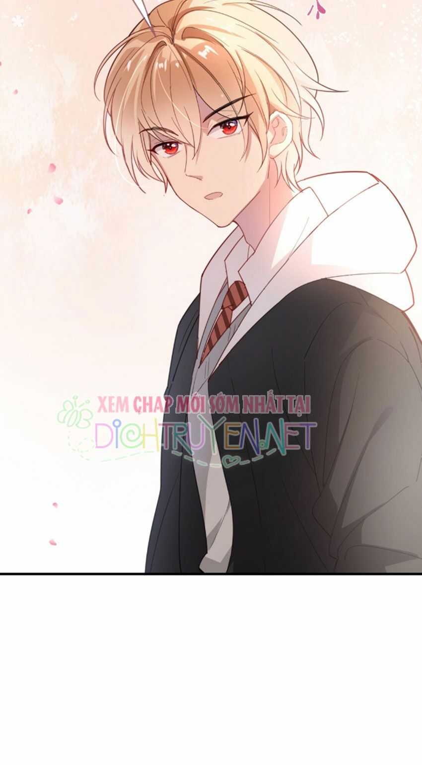 Em là bạc hà mèo của tôi: Chapter 26