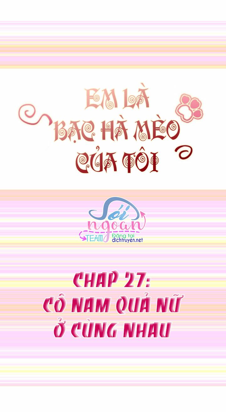 Em là bạc hà mèo của tôi: Chapter 27