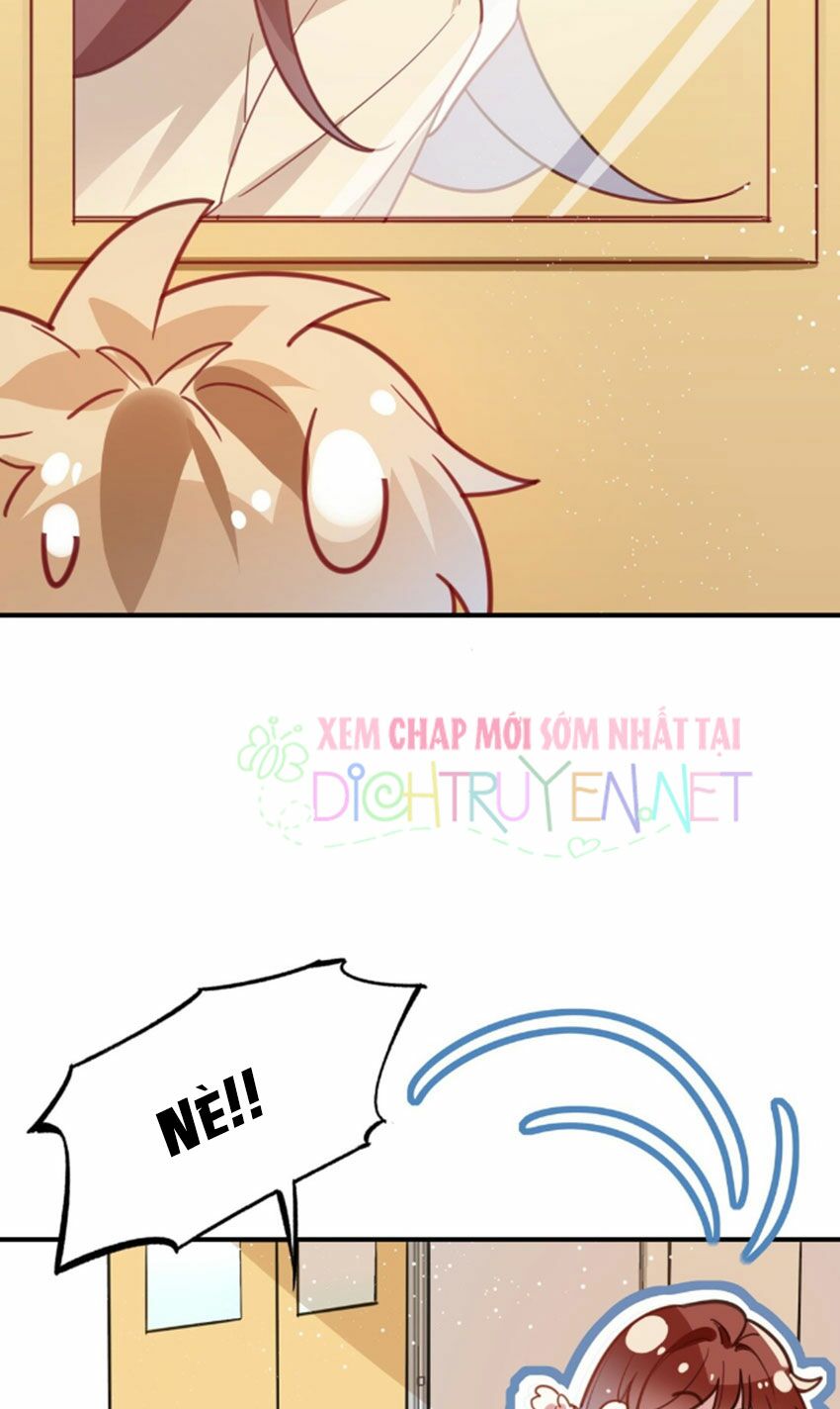 Em là bạc hà mèo của tôi: Chapter 27