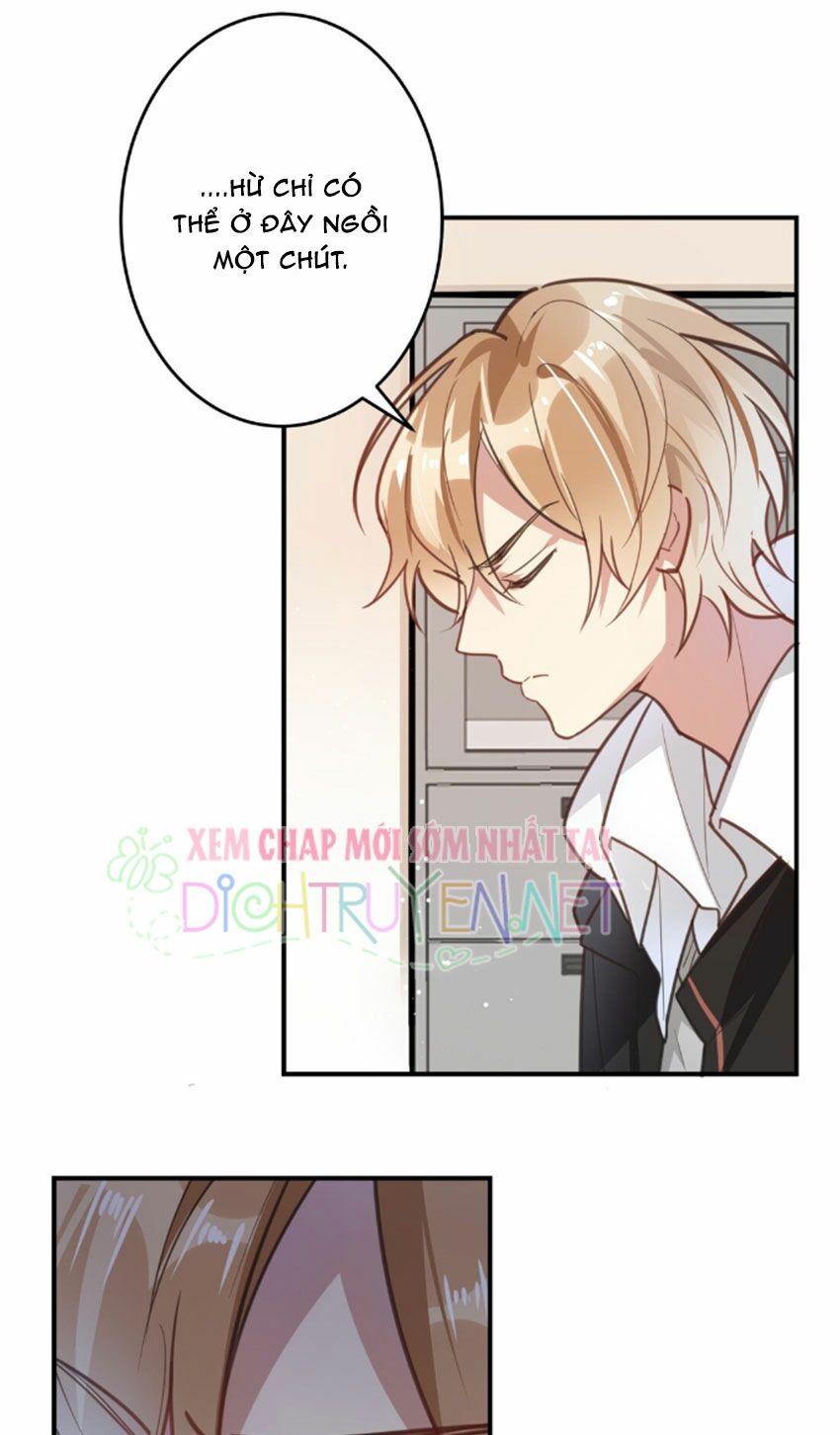 Em là bạc hà mèo của tôi: Chapter 27