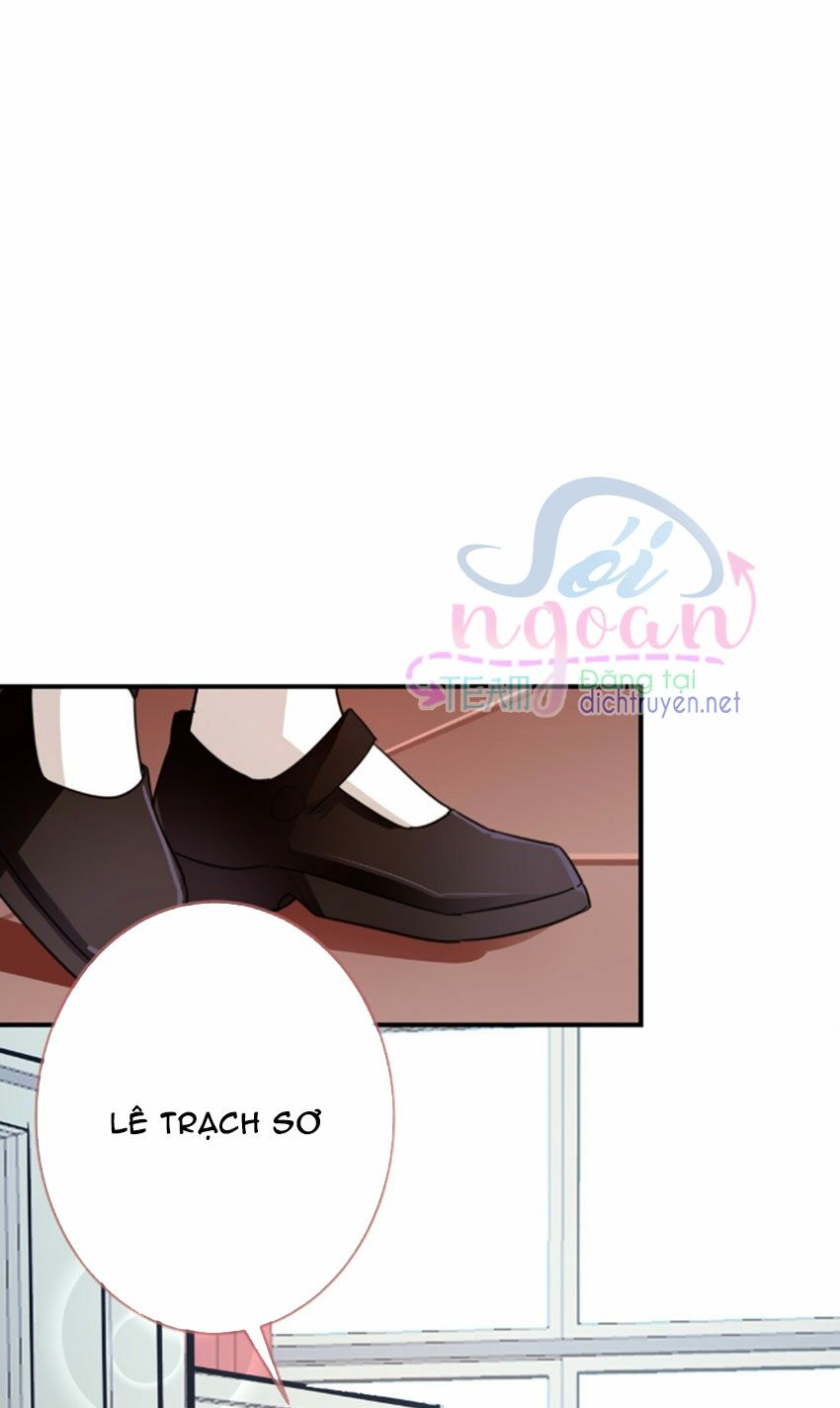 Em là bạc hà mèo của tôi: Chapter 27