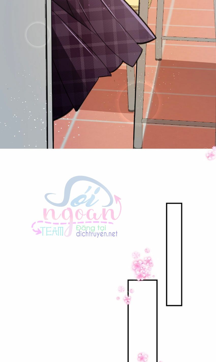 Em là bạc hà mèo của tôi: Chapter 27