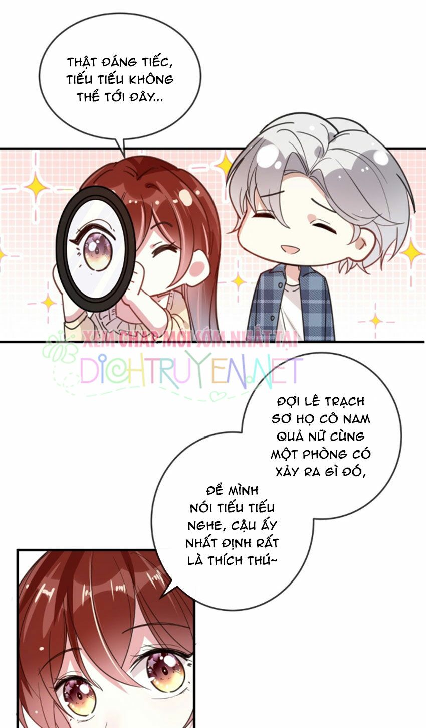 Em là bạc hà mèo của tôi: Chapter 27