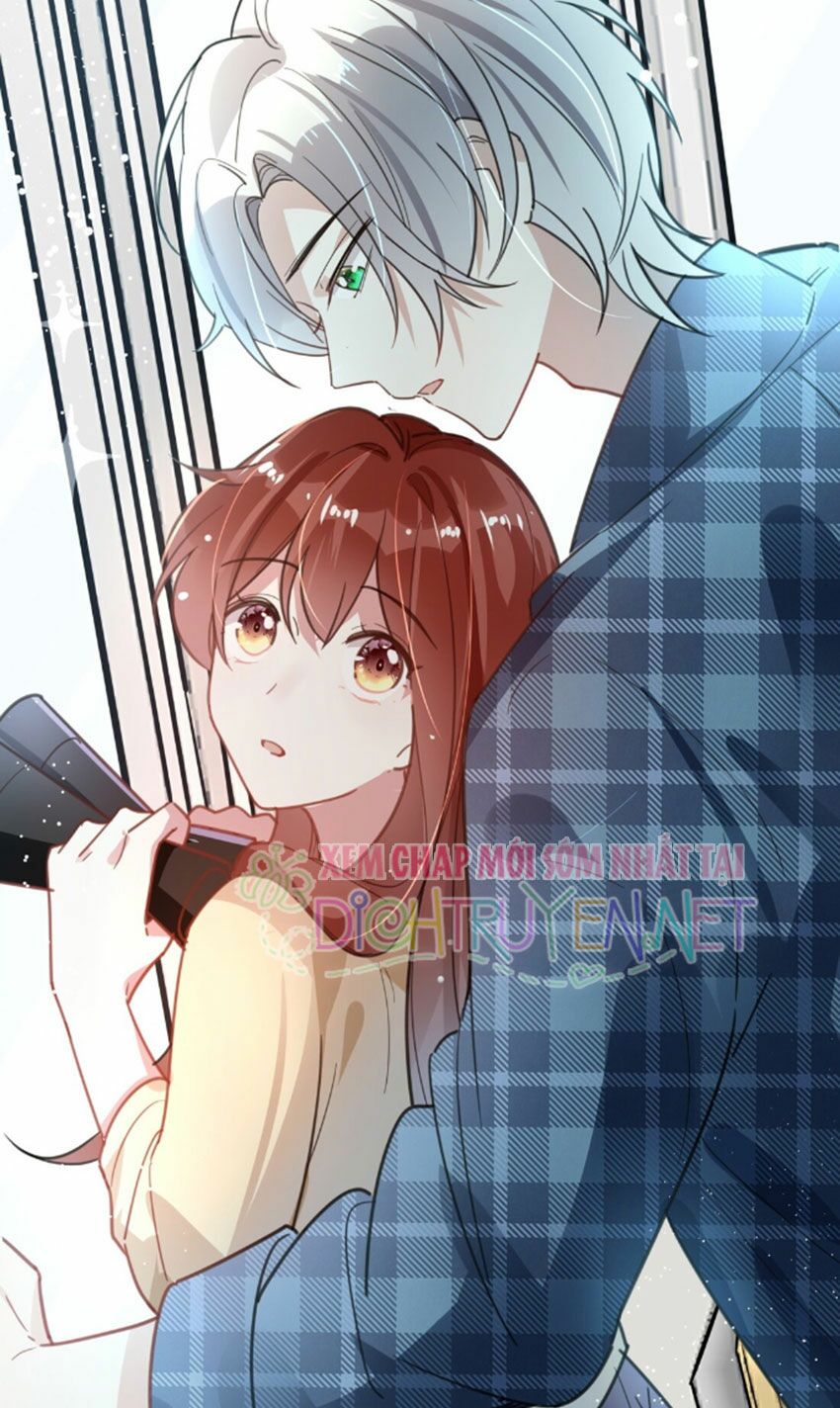 Em là bạc hà mèo của tôi: Chapter 27