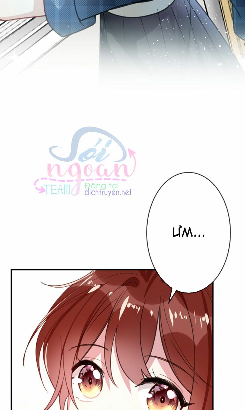 Em là bạc hà mèo của tôi: Chapter 27