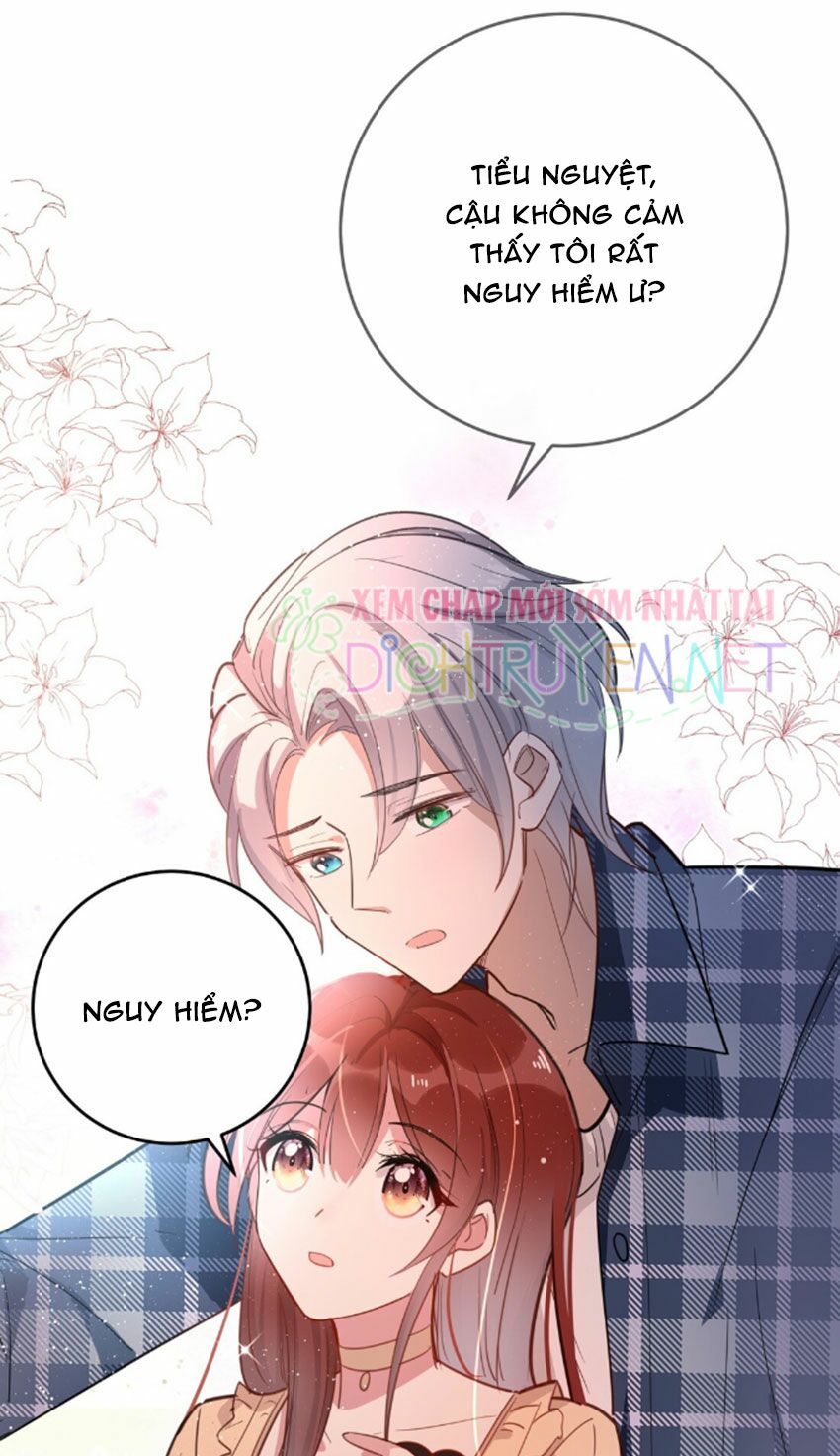 Em là bạc hà mèo của tôi: Chapter 27