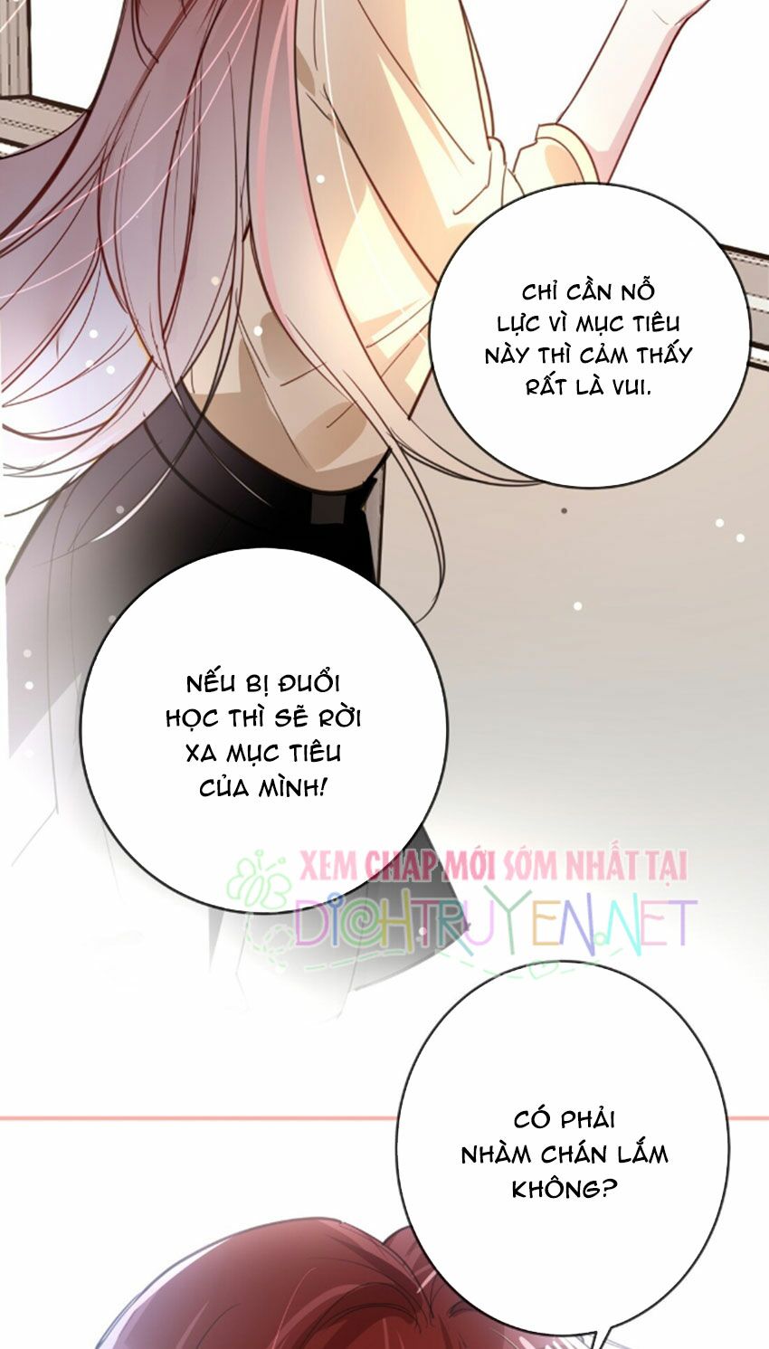 Em là bạc hà mèo của tôi: Chapter 27