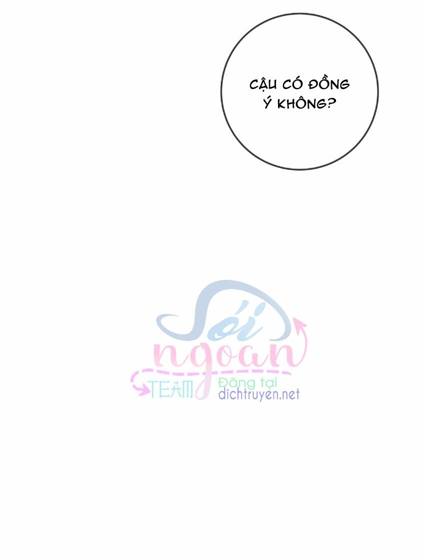 Em là bạc hà mèo của tôi: Chapter 27