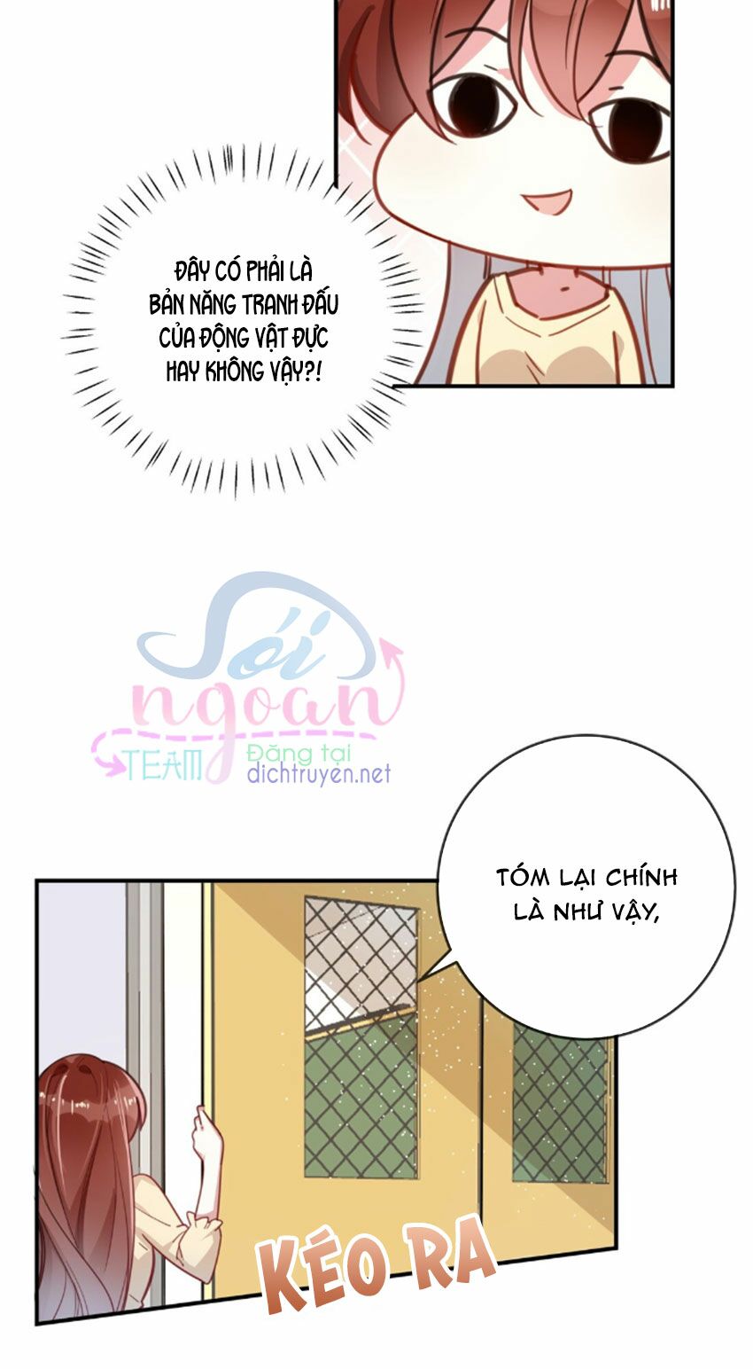 Em là bạc hà mèo của tôi: Chapter 27