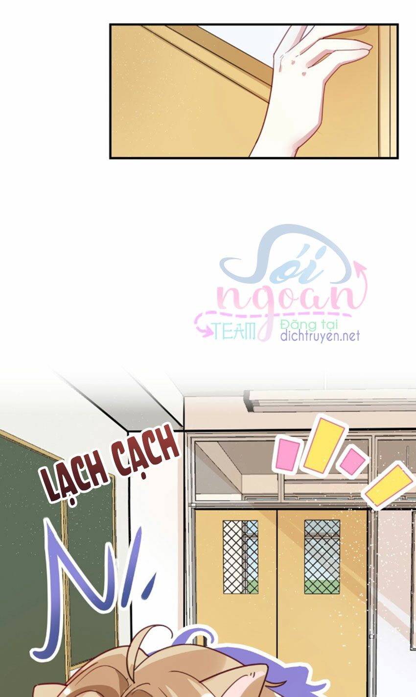 Em là bạc hà mèo của tôi: Chapter 27
