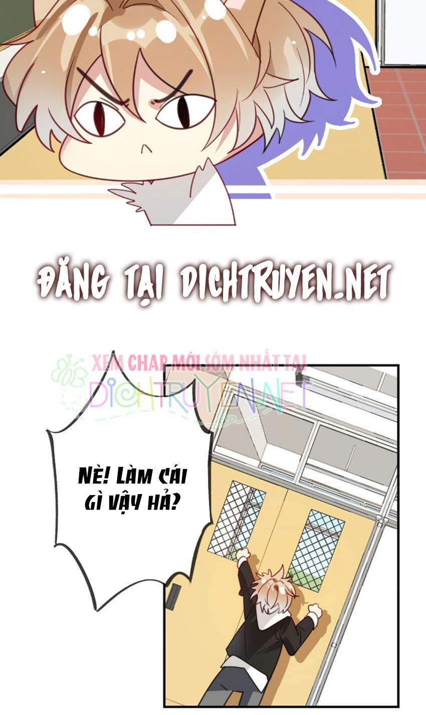 Em là bạc hà mèo của tôi: Chapter 27