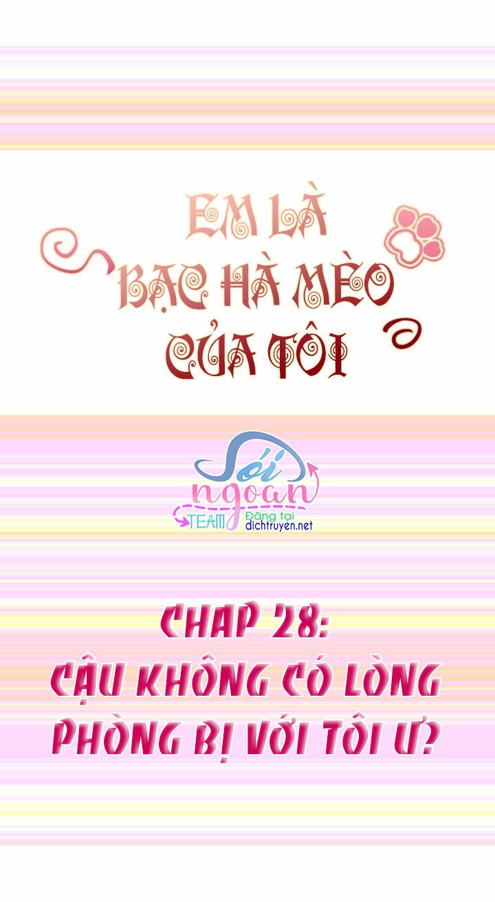 Em là bạc hà mèo của tôi: Chapter 28