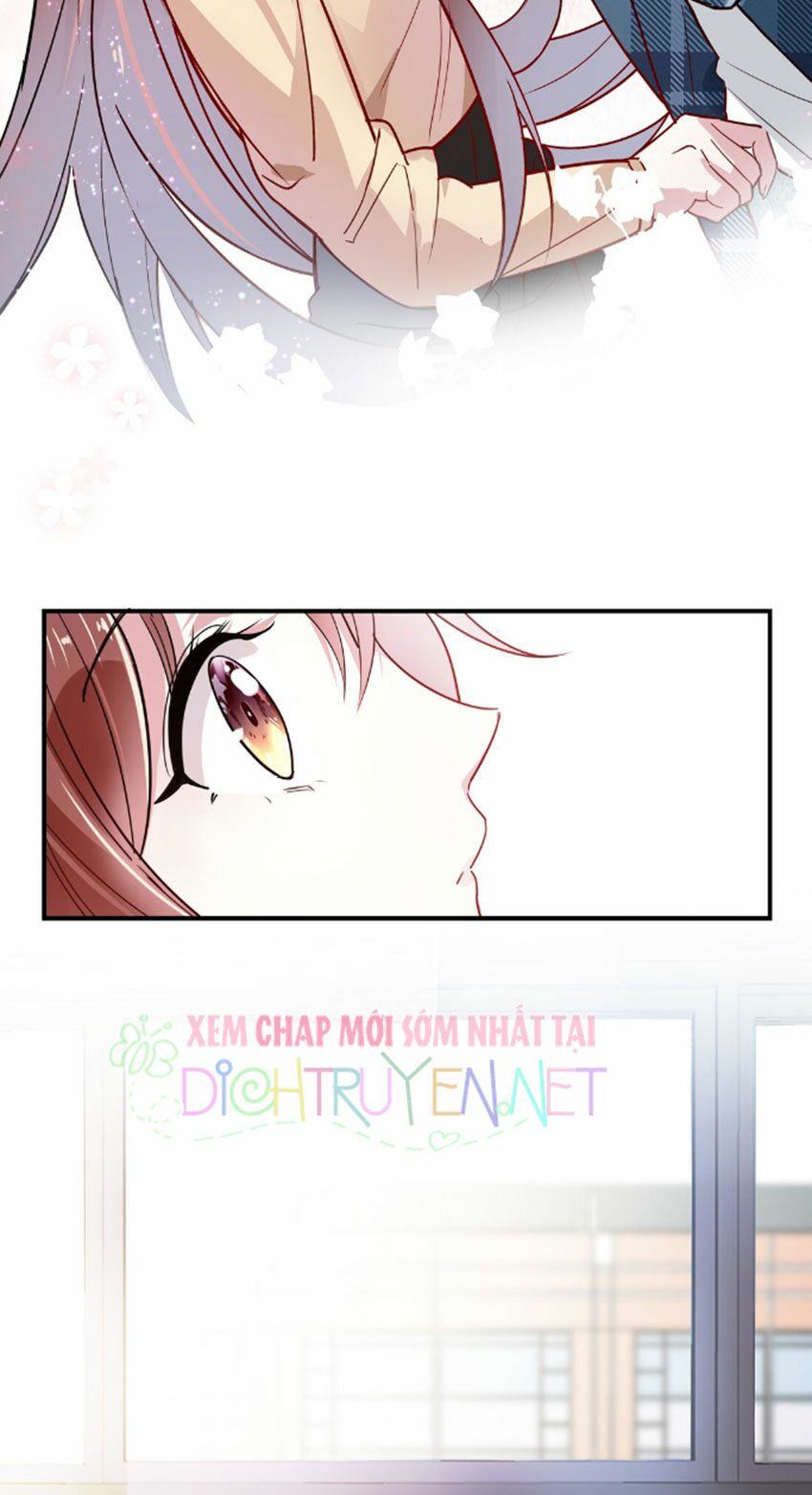 Em là bạc hà mèo của tôi: Chapter 28