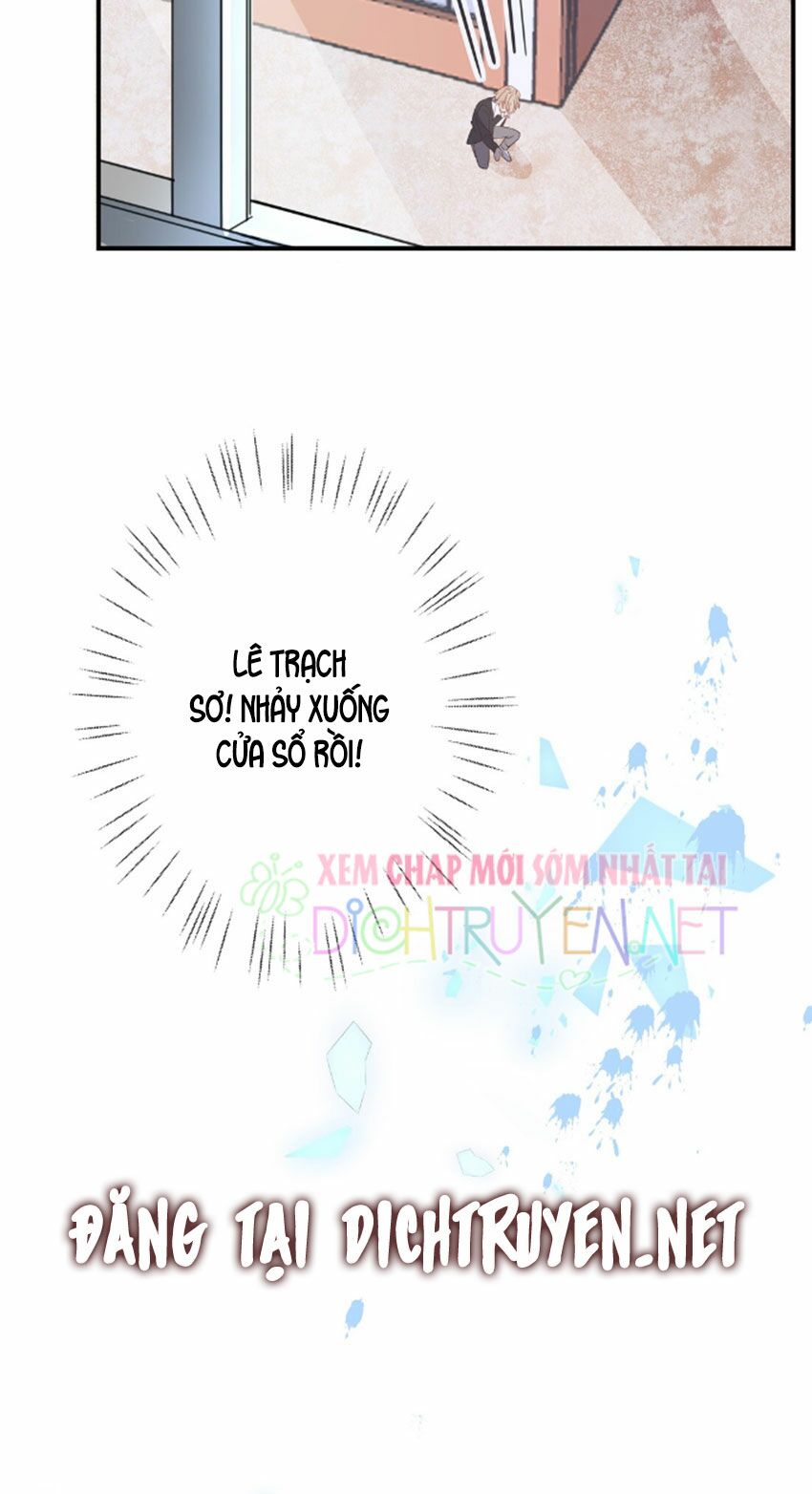 Em là bạc hà mèo của tôi: Chapter 28