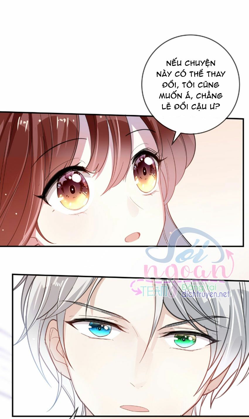 Em là bạc hà mèo của tôi: Chapter 28