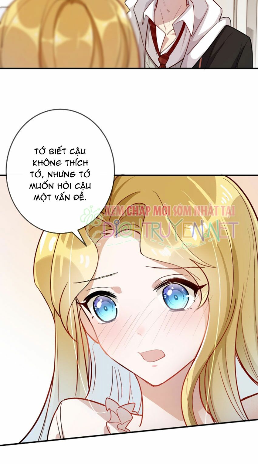 Em là bạc hà mèo của tôi: Chapter 28