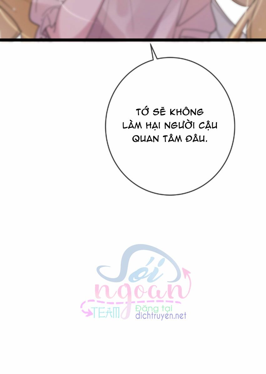 Em là bạc hà mèo của tôi: Chapter 28