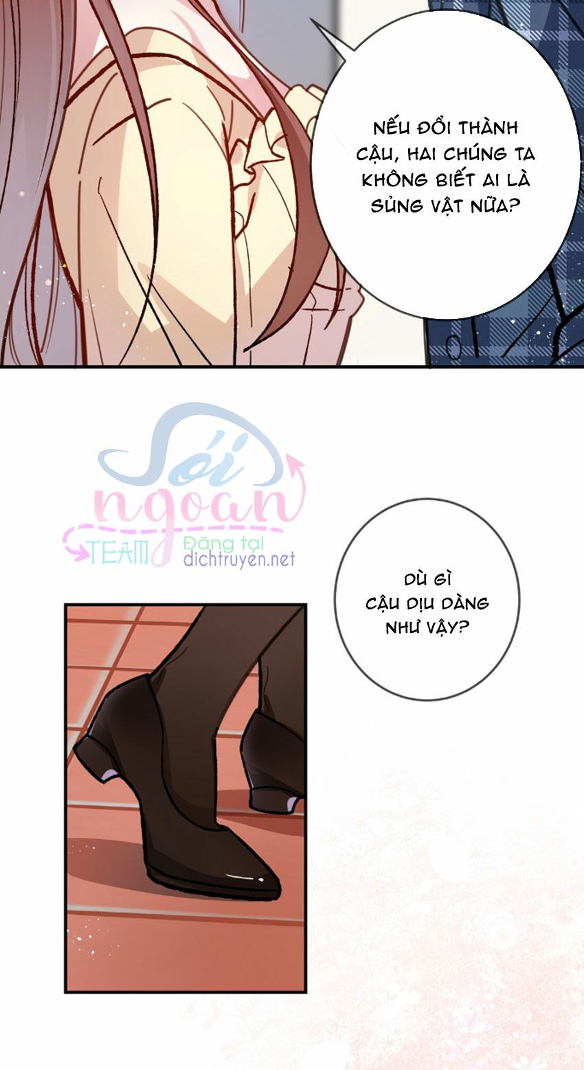 Em là bạc hà mèo của tôi: Chapter 28